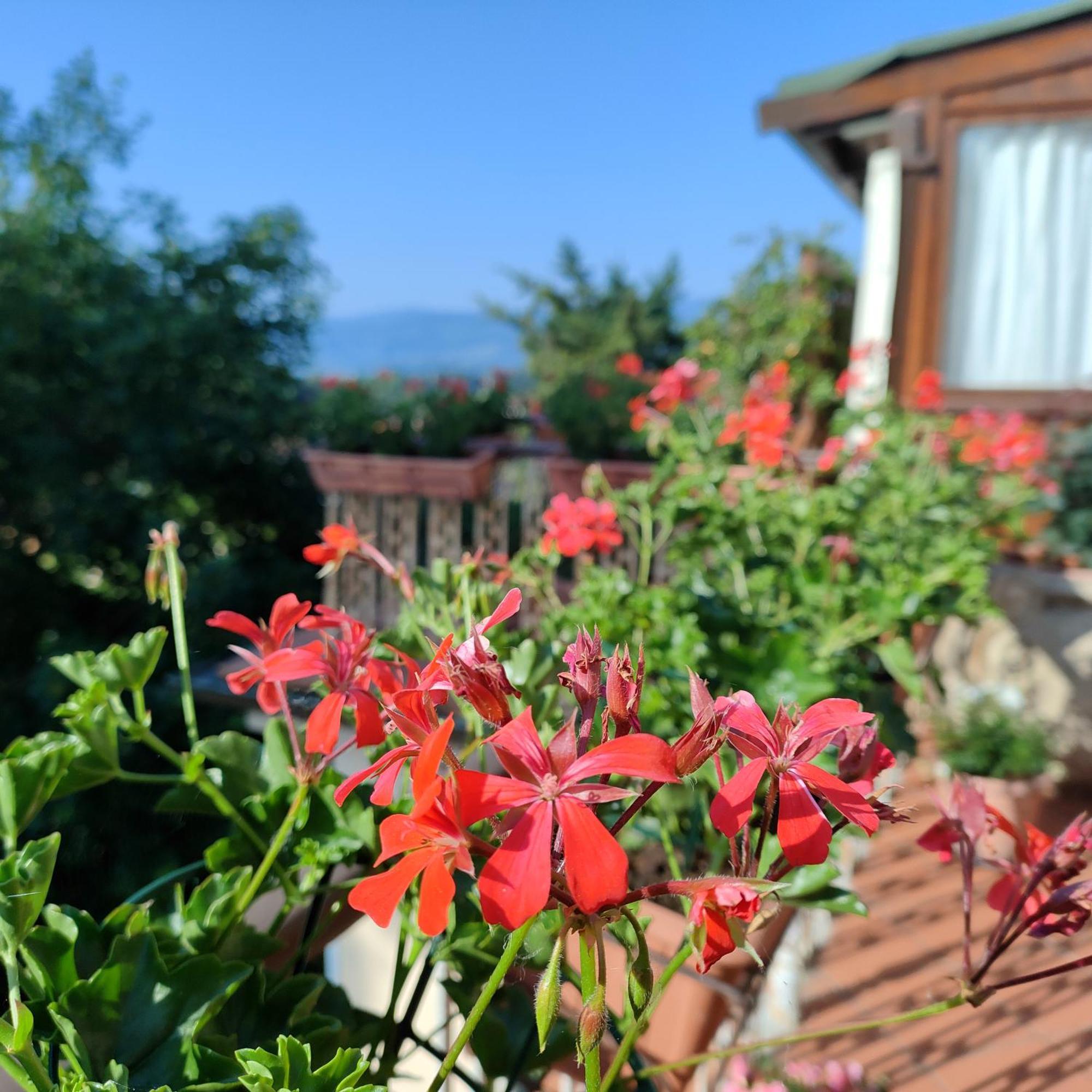 Casa Vacanza In Casentino Биббьена Экстерьер фото